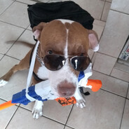 cara do crime