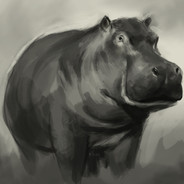 hippo