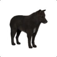 WolfRaider7