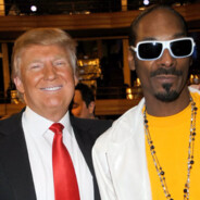 Trump Lover