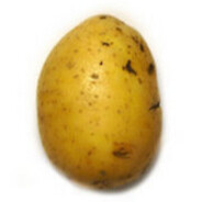zbigniew kapusta
