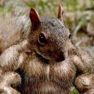 MuscleHamster