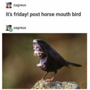 maj0rmin3r1