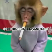 бегаю,стреляю