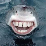 Ser Shark Aids