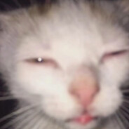 prostadlww