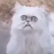 Mozrow
