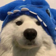 tousypo