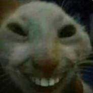 ★≈ K O T ≈