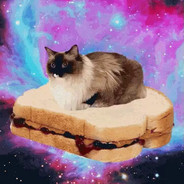Bawbcat