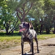 MAXIMILIAN