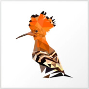 Hawk2-A