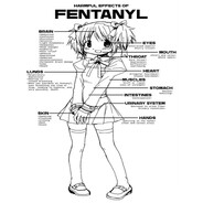 sxlfdestruction