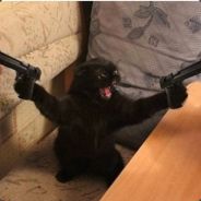 BlackCat