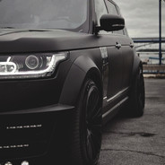 ♛LORD♛ (Trading)
