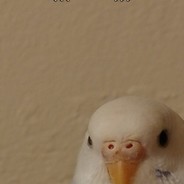 Gamer