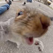 Petski