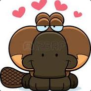Perry