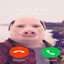 johnpork12