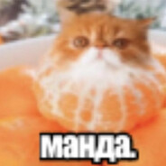 димитр