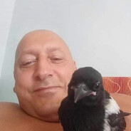 Sanina