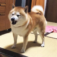 i got that dog in me