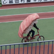 sashimi rollin they hatin