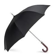 TD Umbrella