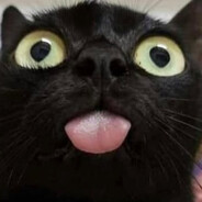 Кот Наркот