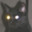 Group Avatar