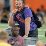 cutigers