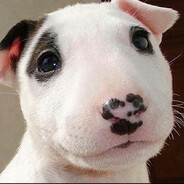 dogie