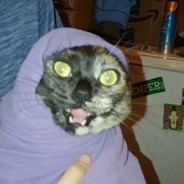 Rocket_Cat