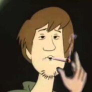 the shaggster