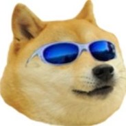 vegaZjE