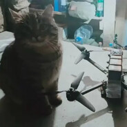 m4kkkxd
