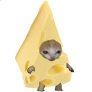 The Cheese Man