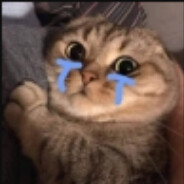 lilaxle