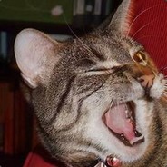 Steam Community Avatar