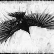CroW