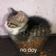 no me pidas xq no te voy a dar
