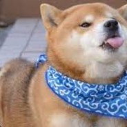 На ♥♥♥♥♥