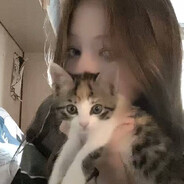 lovvsq