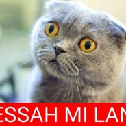 KillaHusein