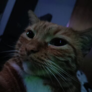 ♥ Limonka ♥