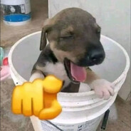 vsantos