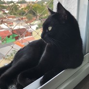 dudanessiguedes