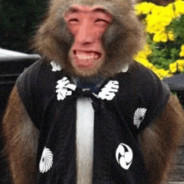 handicapped monkey