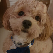 Mr P