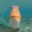 fischyfatfat
